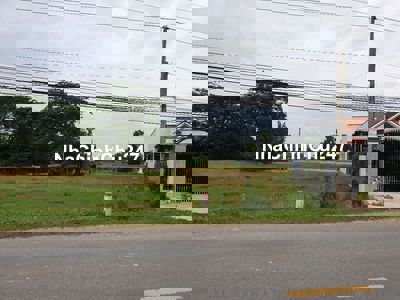 Giá Siêu Rẻ Đất Thổ Cư, 11m x 42m, Ngay Thị Trấn Hậu Nghĩa, Chỉ 1.7 Tỷ