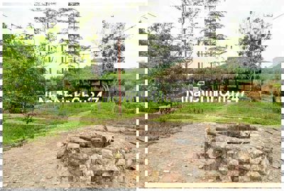 Bán khu đất Bình Sơn Kim Bôi Hoà Bình