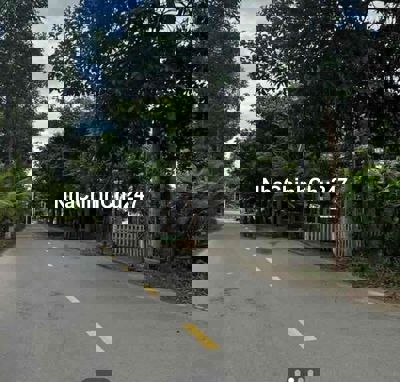 Bán Đất mặt tiền đường nhựa dầu tiếng DB