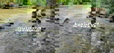 Bán gấp 7 sào đất full 400m thổ cư có sẵn nguồn thu cà phê