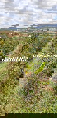 [CC] đất dt lớn đầu tư nghỉ dưỡng tại Nam ban