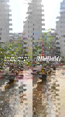 🇻🇳🇻🇳🇻🇳BÁN ĐẤT THỔ CƯ XÂY DỰNG TỰ DO XÃ PHÚ XUÂN HUYỆN NHÀ BÈ