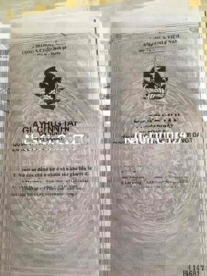 Đất ONT 411m2 Đường Bờ Trúc Ấp 1 Mỹ Phú Thủ Thừa Long An