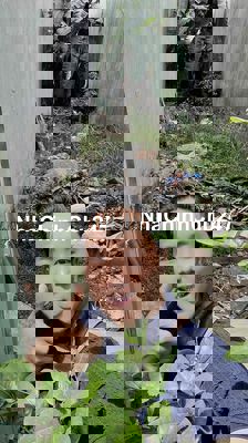 BÁN ĐẤT THỔ CƯ 100 MV- TRUNG TÂM HÀNH CHÍNH Q7-HẺM 5M TL- NHỈNH 4 TỶ