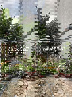 CHỈ 3,8 TỶ-73M2 ĐẤT THỔ CƯ - PHƯỚC LONG B, Q9 - HXH KHU PHÂN LÔ NỘI BỘ