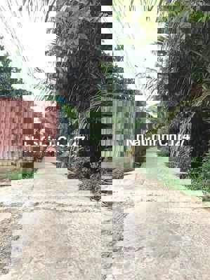 ✅✅ĐẤT THỔ CƯ 80m2 HẺM CHÙA LONG PHÚ DT 5x16✅✅