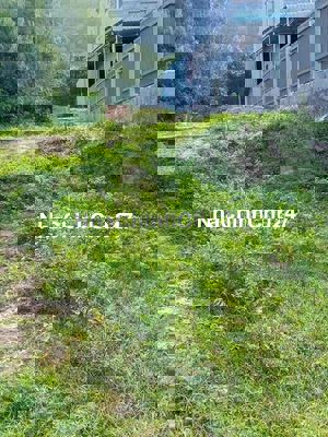 CẦN BÁN NHANH TÀI SẢN CHÍNH CHỦ( CÒN TL) ***