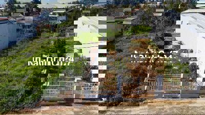 mua đất tặng cây mít