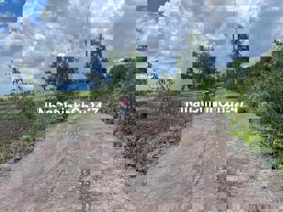 chính chủ cần bán 9393m2 đât bình hoà bắc, đường xe tải