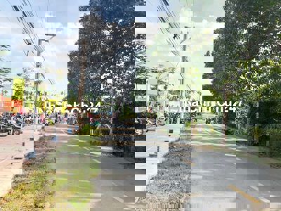 Đường Nhựa 1.190m2 gần Trường Học An Sơn