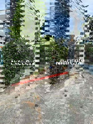 Chính chủ cần bán đất