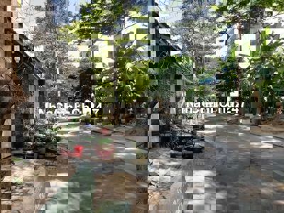 Chính chủ cần bán gấp