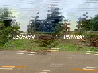 chính chủ cần bán