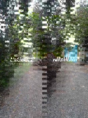 Chính chủ cần bán đất vườn có thổ cư cách mặt tiền đường Ng văn Khạ18m