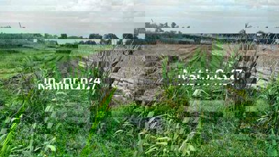 📌 CHÍNH CHỦ CẦN CHUYỂN NHƯỢNG ĐẤT ĐỨC LẬP HẠ – LONG AN