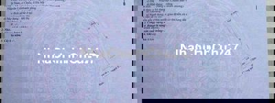 Chính chủ gửi bán lô đất nền Bắc Thượng 5, KDC Nam Nguyễn Tất Thành nố