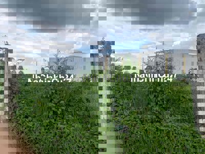 Chính chủ cần bán gấp lô đất ở ngay đường Nguyễn Thị Lan , xã Hòa Hiệp