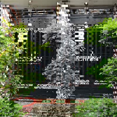 Nhà bán : 4,2x28,2m, 1T, 1L, SHR, chính chủ.