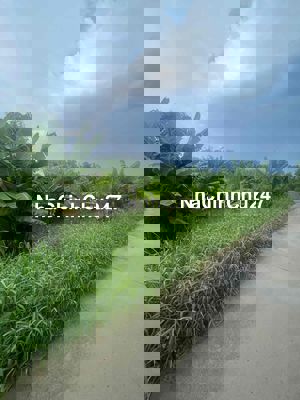 gần 700m đất thổ vườn mt đường xe tải khu dân cư