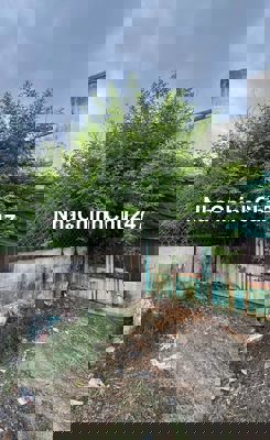 Bán đất mặt tiền đường nhựa 7m song hành thị trấn hóc môn nhỉnh 4 tỷ