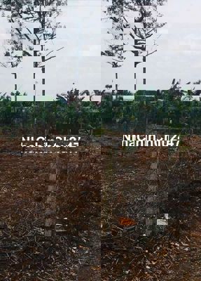 ⭐ Bán 1 sào đất Cư Êbur – cuối hẻm Ymoan rẽ trái