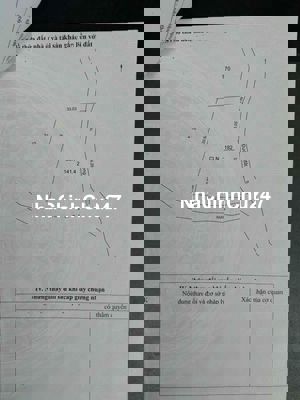 Đất nông nghiệp full hồng