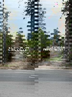 Đất Mặt Tiền QL 55. Cách Đường Ven Biển 100m. Cách Biển Suối Ồ 1km