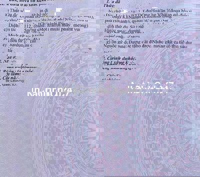 Bán đất mặt tiền đường Hoàng Văn Thái, Phường Hòa Khánh Nam, Quận