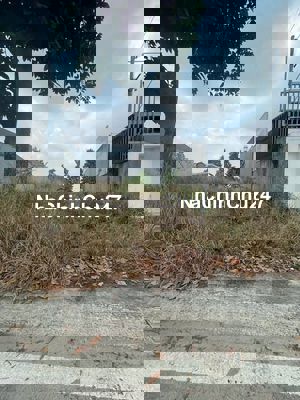 đất mặt tiền,150m2,đường Điện Biên Phủ,Phú Tân,Bình Dương