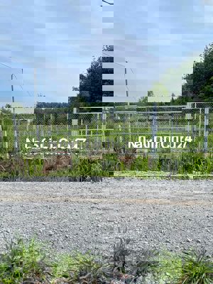 CHỦ NGỘP CẦN BÁN LÔ ĐẤT THỊ TRẤN LAI UYÊN , ĐƯỜNG LAI UYÊN 50