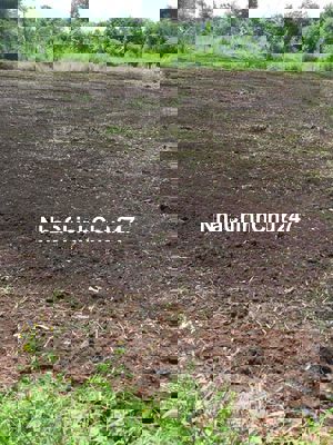 chính chủ cần bán 1426m2 đường vườn xoài xuân phú xuân lộc đồng nai