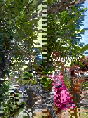 nhà vườn tâm huyết, đất vườn có thổ cư, sát sông lớn , đường xe hơi