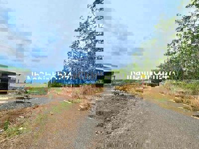 Bán đất mặt tiền đường nhựa như hình 320.000.000