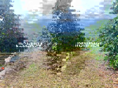 CHỦ NGỘP BÁN GẤP LÔ ĐẤT LÂM ĐỒNG