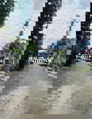 Bán đất mặt tiền đường nhựa ,khu vực Minh Thạnh. BD