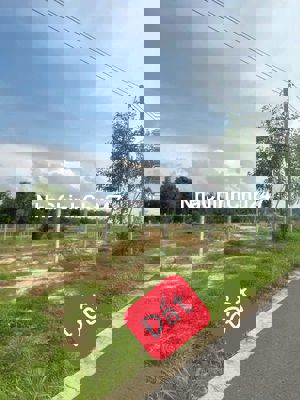 Bán gấp đất mặt nhựa Định An 300m2 có 100m thổ cư giá chỉ 430tr