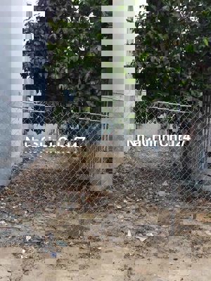 ĐẤT 80M SỔ HỒNG RIÊNG CHƯA THỔ CƯ QL13 PHƯỜNG HIỆP BÌNH PHƯỚC THỦ ĐỨC