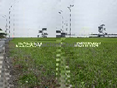 🔥 LÔ ĐẤT MẶT ĐƯỜNG Ô TÔ TRÁNH, Ô TÔ 7 CHỖ VÀO NHÀ, NỞ HẬU, KINH DOANH