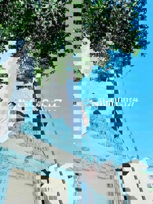 Khu Dân Cư Phú Hồng Thịnh 8, mặt tiền Trục chính N1