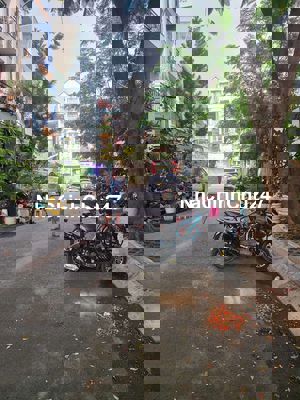 Bán siêu phẩm mặt tiền Hoa Giấy, Phan Xích Long