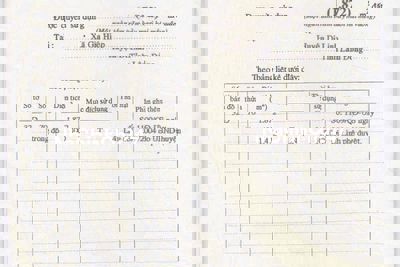 CẦN BÁN LÔ ĐẤT MẶT TIỀN QUỐC LỘ 20 – XÃ GIA HIỆP, DI LINH, LÂM ĐỒNG