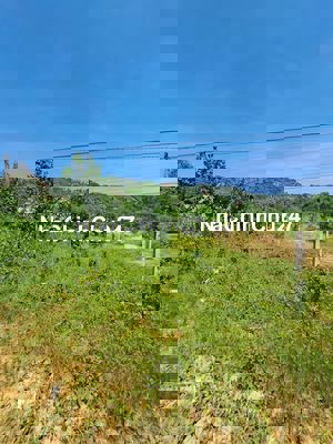 Bán đất mặt tiền 228m2 (thổ cư 100m2) gần nhà văn hoá xã Đạ Tồn.