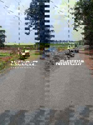 Bán đất mặt tiền đường nhựa 290 triệu