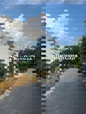 Đất SỔ HỒNG RIÊNG mặt tiền Phú An, Bến Cát giá chỉ 1.35 tỷ/315m2