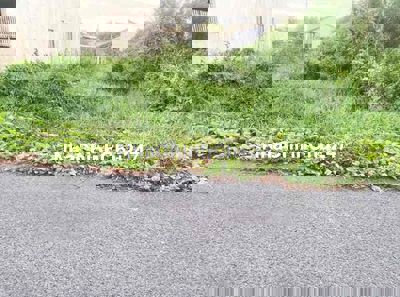 Chủ chạy nợ bán lô Đ. Đê Trường Long, Long An, Cần Giuộc 98m2 - 533tr