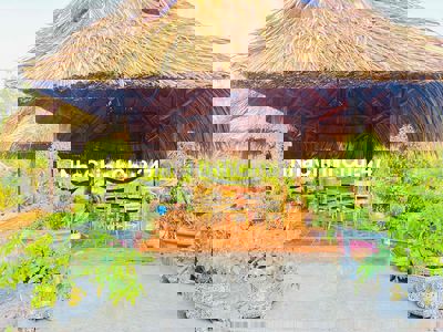 Chủ đất cần sang lại miếng vườn tâm huyết ở Nhơn Trạch, Đồng Nai do cầ