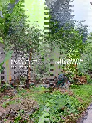 "Đất Mặt Tiền KDC Bình Đáng – 102 m² – Hơn 3 Tỷ – Gần AEON Mall, VSIP1