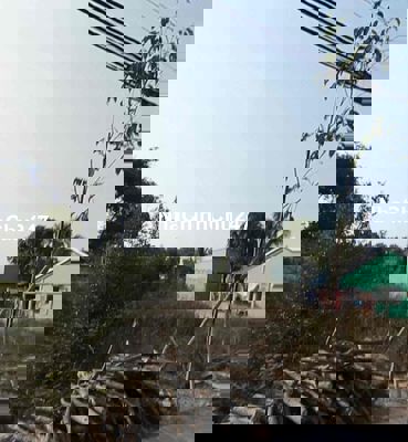 An cư lạc nghiệp với nền 119m2 Sổ Riêng 599tr Nguyễn Thị Bẹ, Cần Giuộc