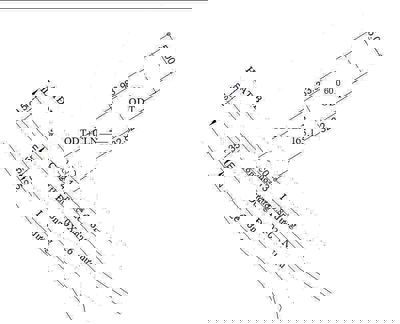 Đất mặt tiền kinh doanh DX-026 Phú Mỹ - Thủ Dầu Một