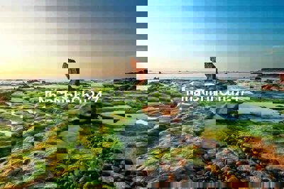 Bán đất mặt tiền khu du lịch cổ thạch, đất bãi rêu